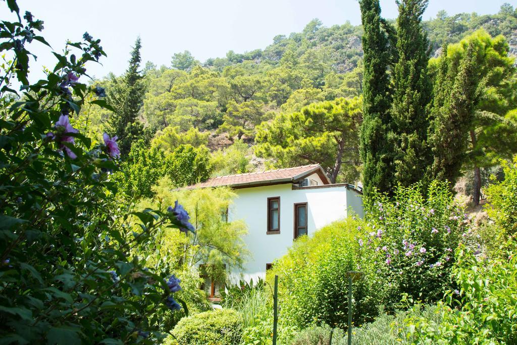 Dostlar Pension Tekirova Quarto foto